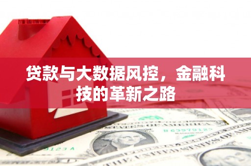芦竹贷款与大数据风控，金融科技的革新之路