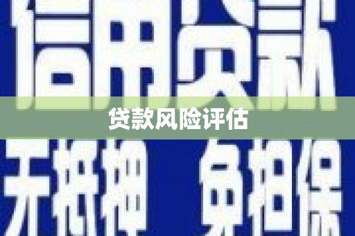芦竹贷款风险评估