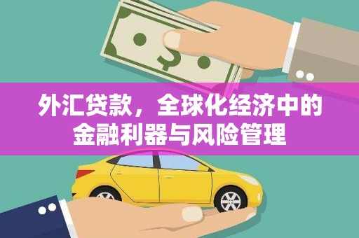 芦竹外汇贷款，全球化经济中的金融利器与风险管理