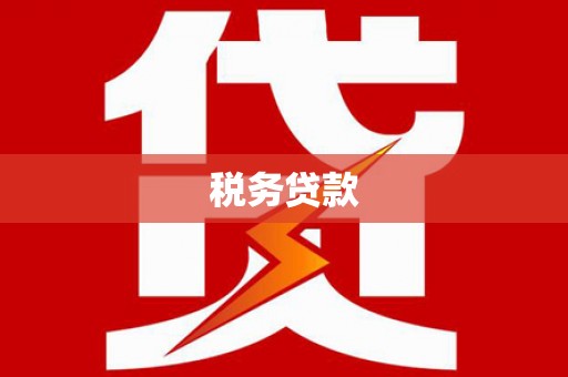 芦竹税务贷款