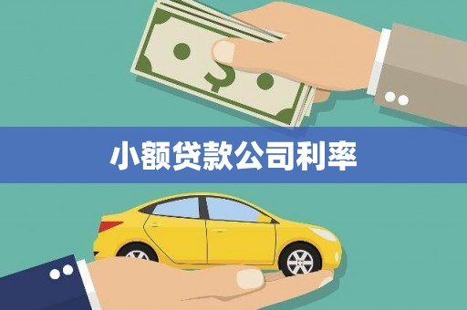 芦竹小额贷款公司利率