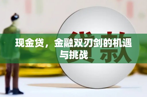 芦竹现金贷，金融双刃剑的机遇与挑战