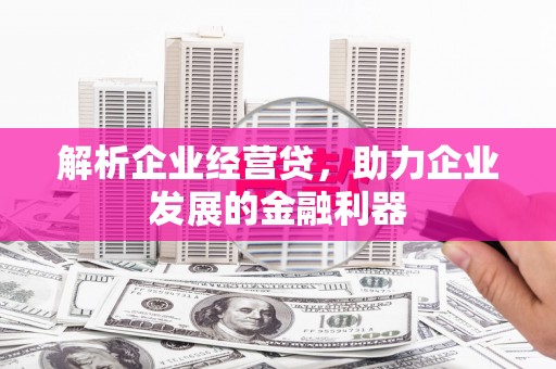 芦竹解析企业经营贷，助力企业发展的金融利器