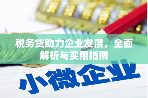 芦竹税务贷助力企业发展，全面解析与实用指南