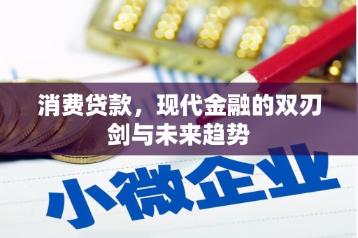 芦竹消费贷款，现代金融的双刃剑与未来趋势