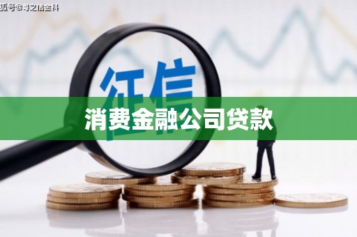 芦竹消费金融公司贷款
