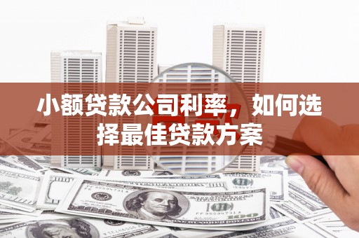 芦竹小额贷款公司利率，如何选择最佳贷款方案