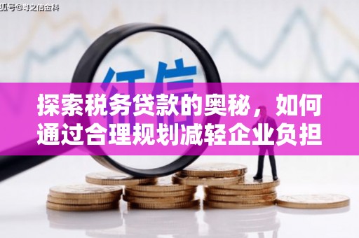 芦竹探索税务贷款的奥秘，如何通过合理规划减轻企业负担