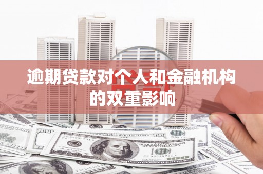 芦竹逾期贷款对个人和金融机构的双重影响