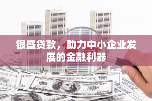 芦竹银盛贷款，助力中小企业发展的金融利器