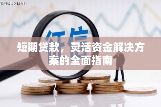 芦竹短期贷款，灵活资金解决方案的全面指南