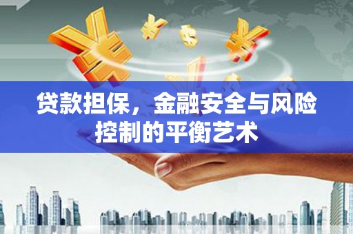 芦竹贷款担保，金融安全与风险控制的平衡艺术