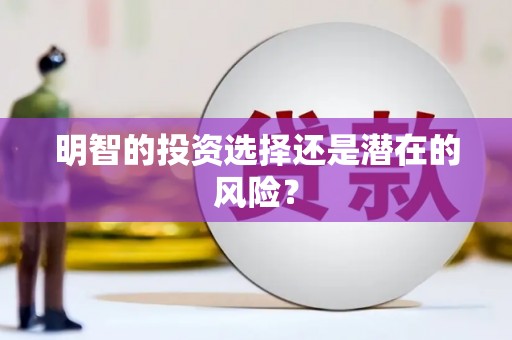 芦竹明智的投资选择还是潜在的风险？