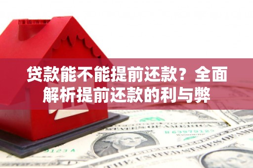 芦竹贷款能不能提前还款？全面解析提前还款的利与弊