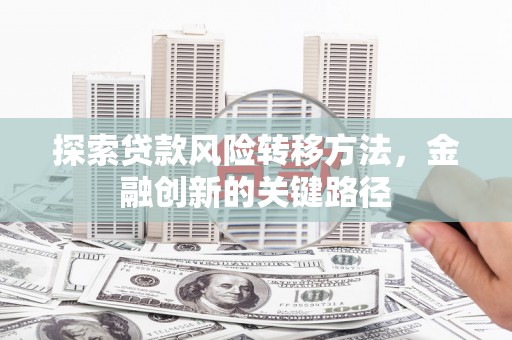 芦竹探索贷款风险转移方法，金融创新的关键路径