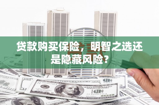 芦竹贷款购买保险，明智之选还是隐藏风险？