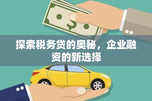 芦竹探索税务贷的奥秘，企业融资的新选择