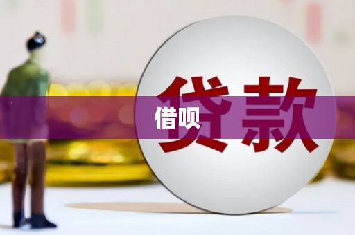 芦竹借呗
