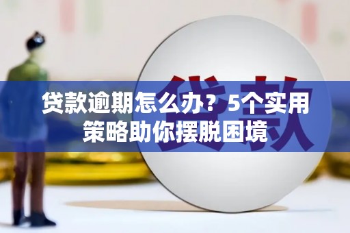 芦竹贷款逾期怎么办？5个实用策略助你摆脱困境