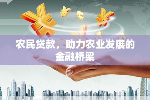 芦竹农民贷款，助力农业发展的金融桥梁