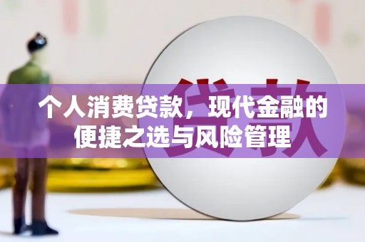 芦竹个人消费贷款，现代金融的便捷之选与风险管理