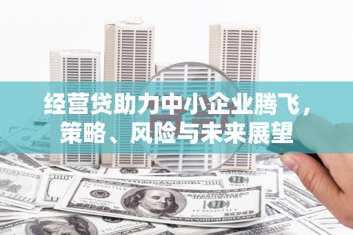芦竹经营贷助力中小企业腾飞，策略、风险与未来展望