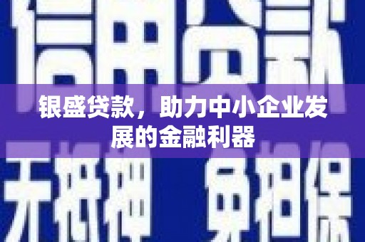 芦竹银盛贷款，助力中小企业发展的金融利器