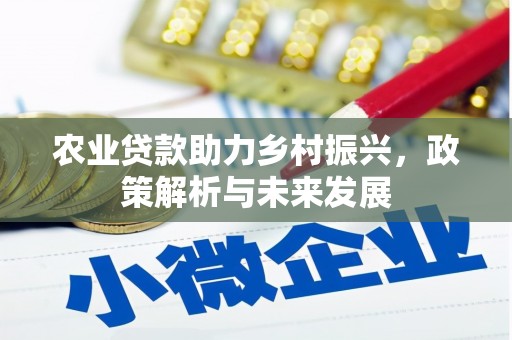 芦竹农业贷款助力乡村振兴，政策解析与未来发展