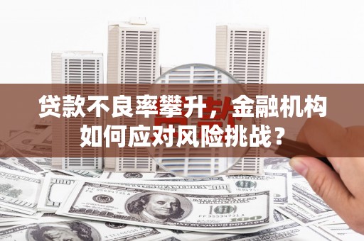芦竹贷款不良率攀升，金融机构如何应对风险挑战？