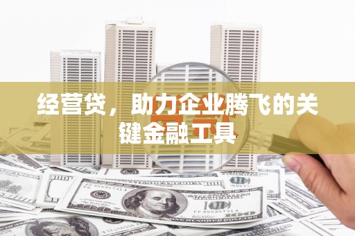 芦竹经营贷，助力企业腾飞的关键金融工具