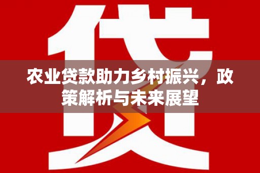 芦竹农业贷款助力乡村振兴，政策解析与未来展望