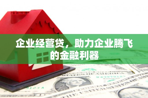 芦竹企业经营贷，助力企业腾飞的金融利器