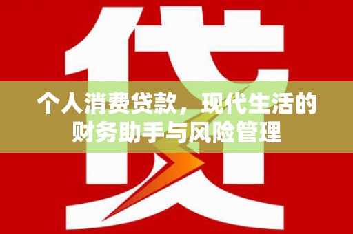 芦竹个人消费贷款，现代生活的财务助手与风险管理