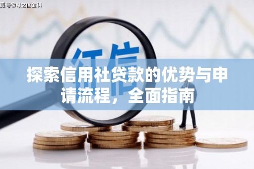 芦竹探索信用社贷款的优势与申请流程，全面指南