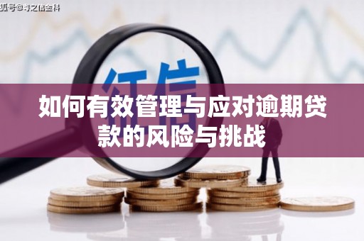 芦竹如何有效管理与应对逾期贷款的风险与挑战