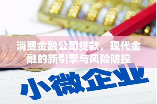 芦竹消费金融公司贷款，现代金融的新引擎与风险防控