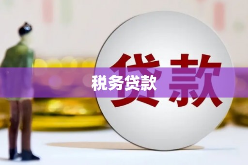 芦竹税务贷款