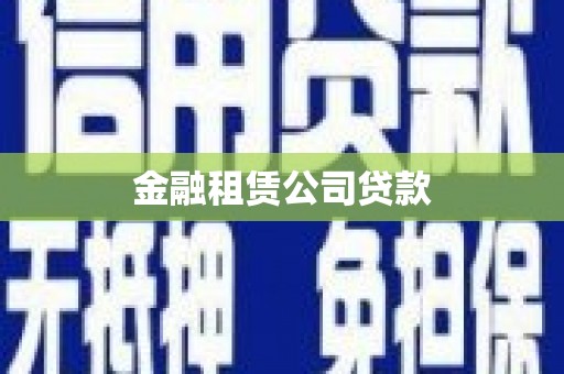 芦竹金融租赁公司贷款