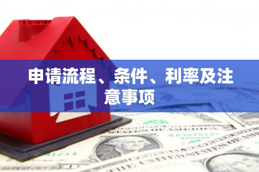 芦竹申请流程、条件、利率及注意事项