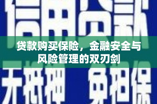 芦竹贷款购买保险，金融安全与风险管理的双刃剑