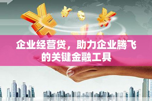 芦竹企业经营贷，助力企业腾飞的关键金融工具