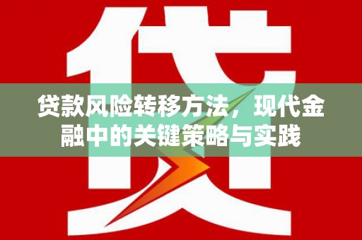 芦竹贷款风险转移方法，现代金融中的关键策略与实践