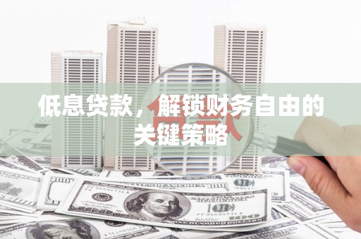 芦竹低息贷款，解锁财务自由的关键策略