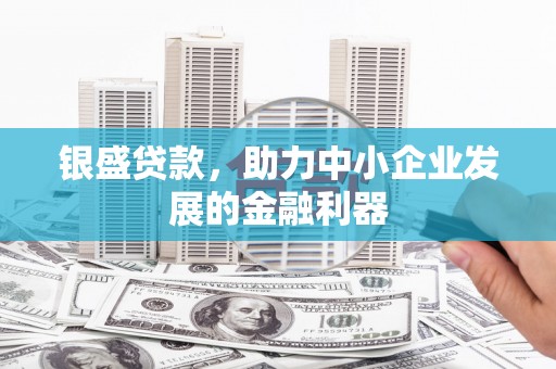 芦竹银盛贷款，助力中小企业发展的金融利器