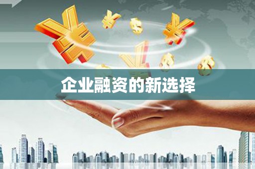 芦竹企业融资的新选择