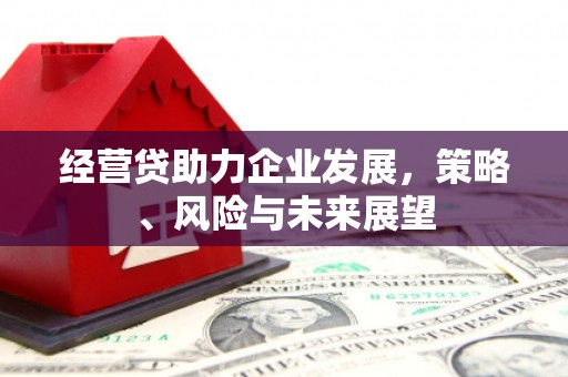 芦竹经营贷助力企业发展，策略、风险与未来展望