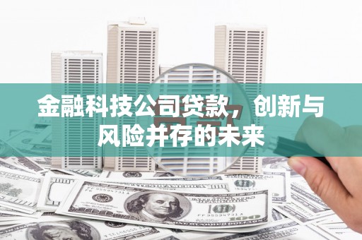 芦竹金融科技公司贷款，创新与风险并存的未来