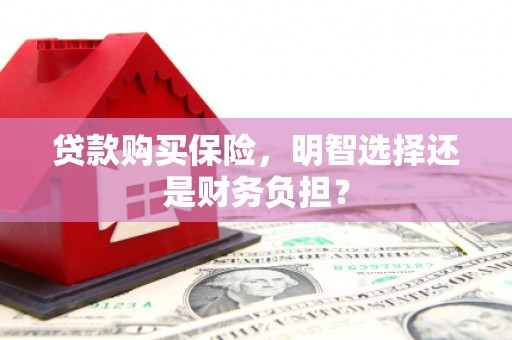 芦竹贷款购买保险，明智选择还是财务负担？