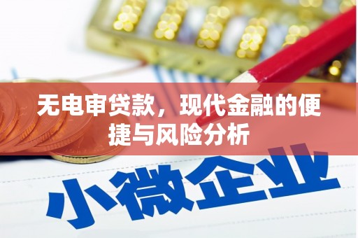 芦竹无电审贷款，现代金融的便捷与风险分析