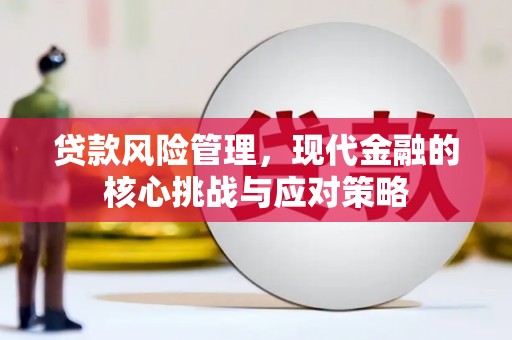 芦竹贷款风险管理，现代金融的核心挑战与应对策略